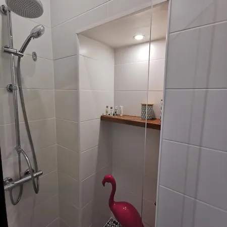 Le Royal Couedic - Les Maisons De Madeleine Apartament *